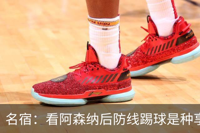 名宿：看阿森纳后防线踢球是种享受